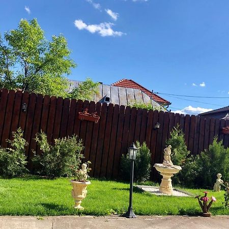 Casa Alexia Hotel Haţeg Eksteriør billede