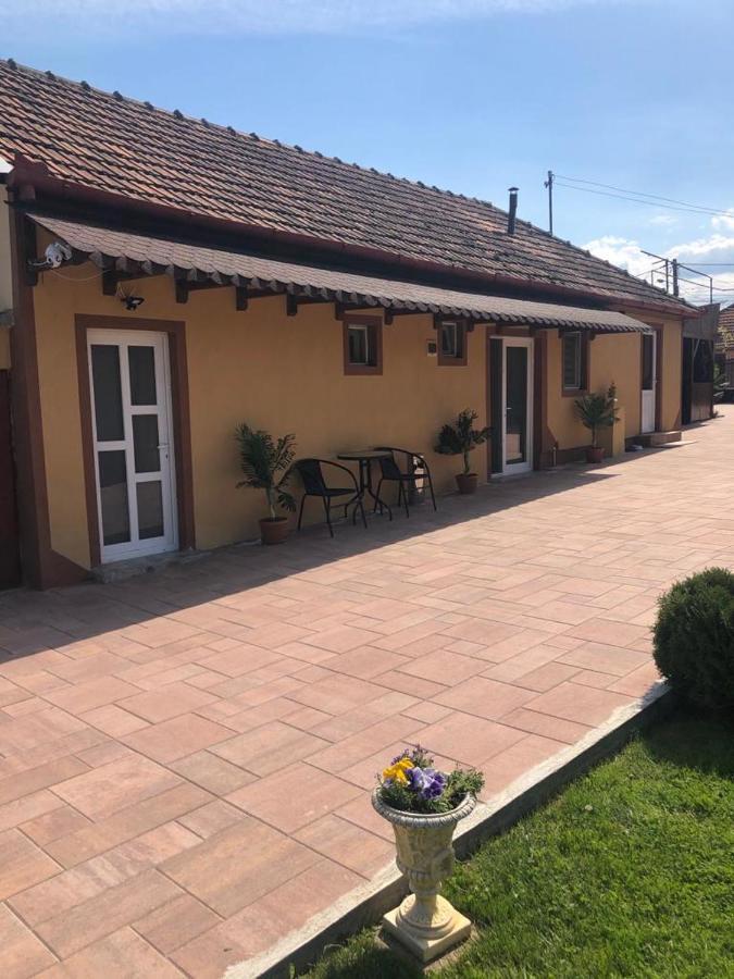 Casa Alexia Hotel Haţeg Eksteriør billede