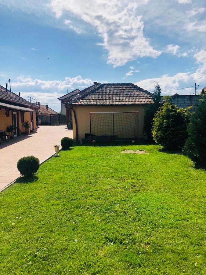 Casa Alexia Hotel Haţeg Eksteriør billede