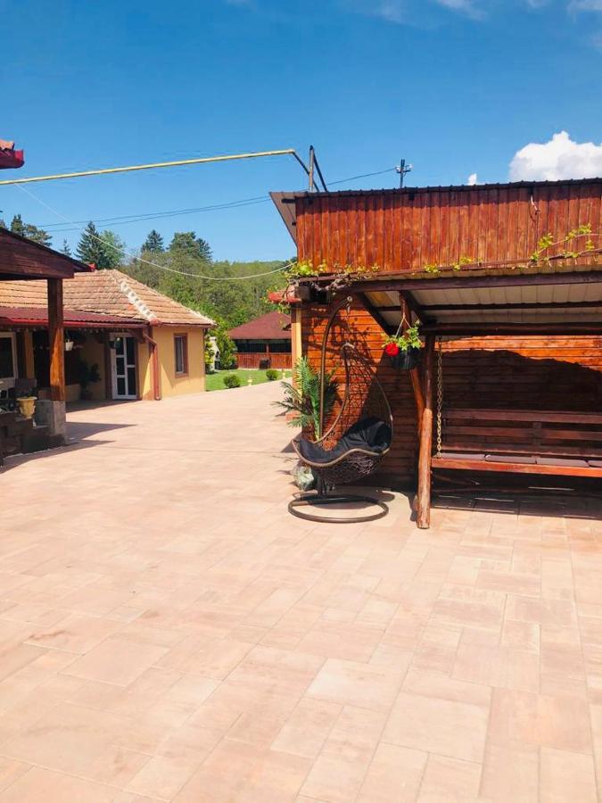 Casa Alexia Hotel Haţeg Eksteriør billede