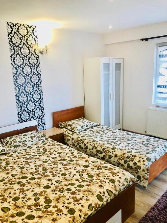 Casa Alexia Hotel Haţeg Eksteriør billede