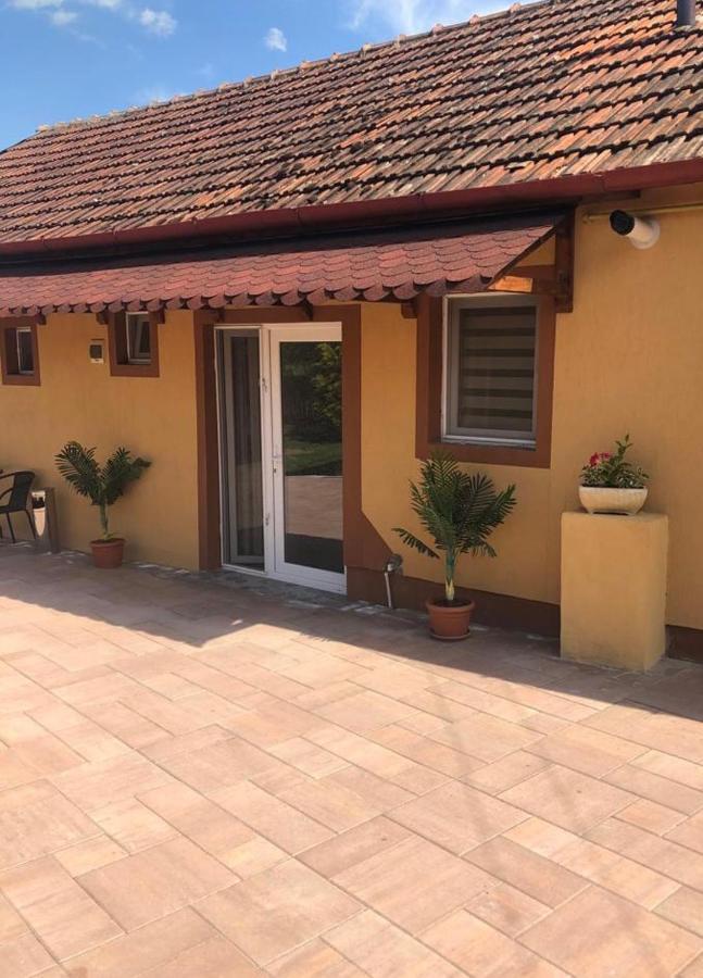Casa Alexia Hotel Haţeg Eksteriør billede