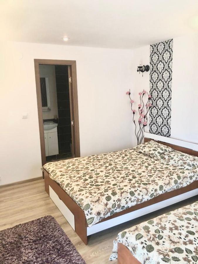 Casa Alexia Hotel Haţeg Eksteriør billede