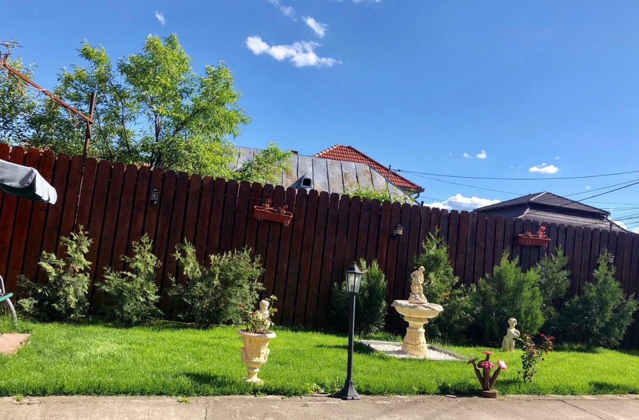 Casa Alexia Hotel Haţeg Eksteriør billede